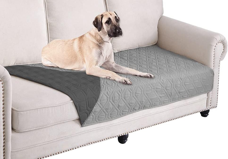 Transform Your Space: The Ultimate Ameritex Waterproof Dog Bed Cover Review!