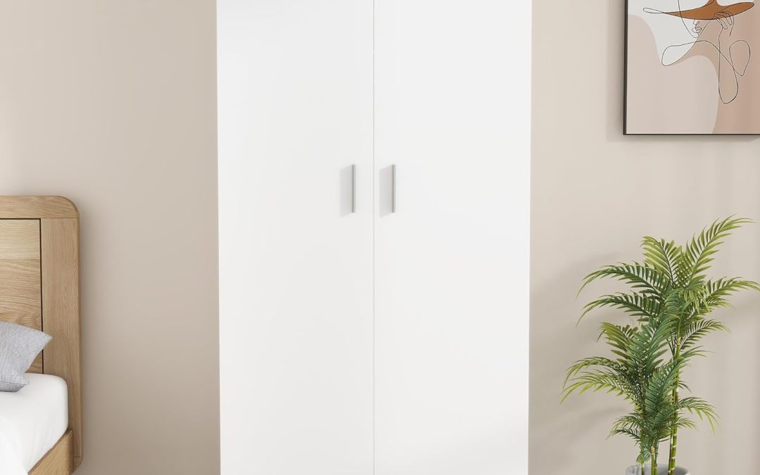 Stylish Storage: A Review of the Panana 2 Door Bedroom Wardrobe Closet